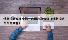 特斯拉轿车多少钱一台图片及价格（特斯拉轿车车型大全）