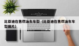 比亚迪在售燃油车车型（比亚迪在售燃油车车型图片）