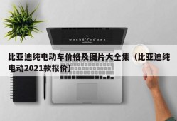 比亚迪纯电动车价格及图片大全集（比亚迪纯电动2021款报价）