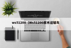 ws51200（Ws51200原木运输车）