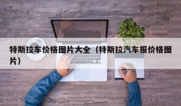 特斯拉车价格图片大全（特斯拉汽车报价格图片）