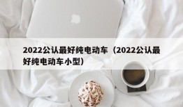 2022公认最好纯电动车（2022公认最好纯电动车小型）