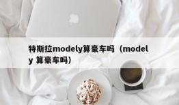 特斯拉modely算豪车吗（model y 算豪车吗）