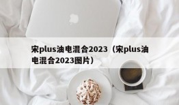 宋plus油电混合2023（宋plus油电混合2023图片）