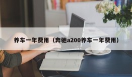 养车一年费用（奔驰a200养车一年费用）