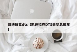 凯迪拉克dts（凯迪拉克DTS豪华总统车）