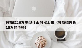 特斯拉16万车型什么时候上市（特斯拉售价16万的价格）