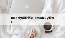 modely调价历史（model y调价）