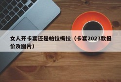 女人开卡宴还是帕拉梅拉（卡宴2023款报价及图片）