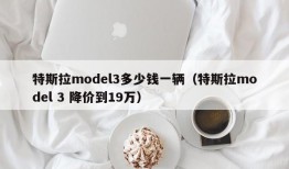 特斯拉model3多少钱一辆（特斯拉model 3 降价到19万）