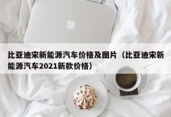 比亚迪宋新能源汽车价格及图片（比亚迪宋新能源汽车2021新款价格）