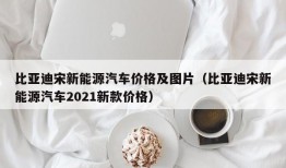 比亚迪宋新能源汽车价格及图片（比亚迪宋新能源汽车2021新款价格）