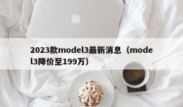 2023款model3最新消息（model3降价至199万）