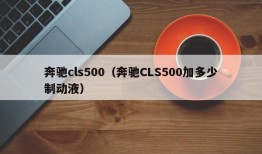 奔驰cls500（奔驰CLS500加多少制动液）