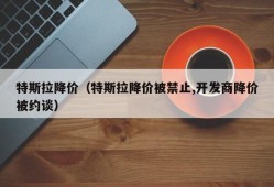 特斯拉降价（特斯拉降价被禁止,开发商降价被约谈）