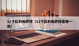 12个缸的帕萨特（12个缸的帕萨特是哪一款）