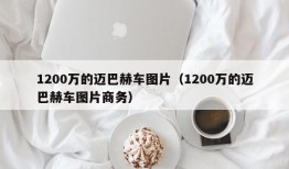 1200万的迈巴赫车图片（1200万的迈巴赫车图片商务）