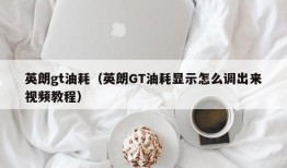 英朗gt油耗（英朗GT油耗显示怎么调出来视频教程）