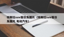 特斯拉suv报价及图片（特斯拉suv报价及图片 电动汽车）