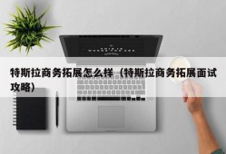 特斯拉商务拓展怎么样（特斯拉商务拓展面试攻略）