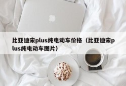 比亚迪宋plus纯电动车价格（比亚迪宋plus纯电动车图片）