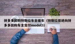 拼多多团购特斯拉车主提车（特斯拉拒绝向拼多多团购车主交付model3）