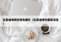 比亚迪海鸥价格及图片（比亚迪海豹最新消息）