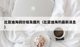 比亚迪海鸥价格及图片（比亚迪海豹最新消息）